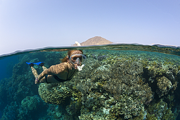 Skin Diving in Red Sea, Zabargad, Red Sea, Egypt