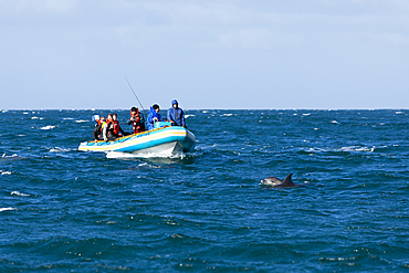 Tourists at Dolphin watching, Wild Coast, Eastern Cap, South Africa