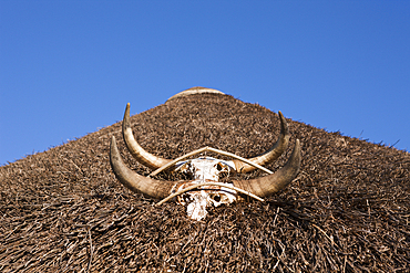 Roof of Hut in Xhosa Village, Wild Coast, Eastern Cap, South Africa