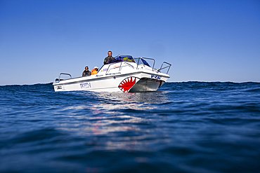 Diving Boat Sardine Run, Wild Coast, Eastern Cap, South Africa