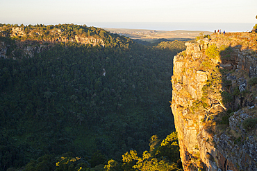 Valley at Wild Coast, Mbotyi, Eastern Cap, South Africa