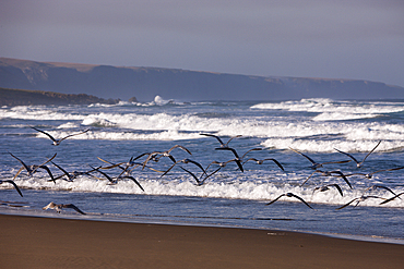 Impressions of Wild Coast, Eastern Cap, South Africa