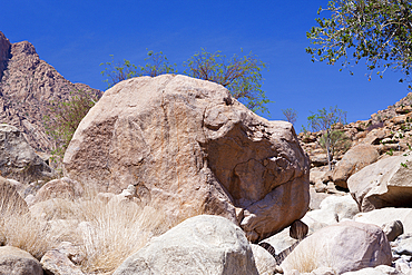 Impressions of Tsisab Ravine Valley, Brandberg, Erongo, Namibia