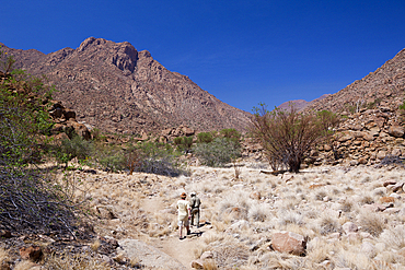 Tourists visiting Tsisab Ravine Valley, Brandberg, Erongo, Namibia