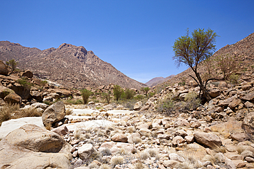 Impressions of Tsisab Ravine Valley, Brandberg, Erongo, Namibia