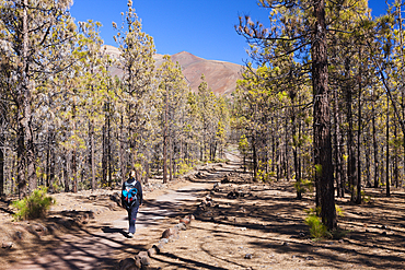 Hiking Tour to Paisaje Lunar near Vilaflor, Tenerife, Canary Islands, Spain