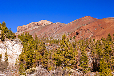 Hiking Tour to Paisaje Lunar near Vilaflor, Tenerife, Canary Islands, Spain