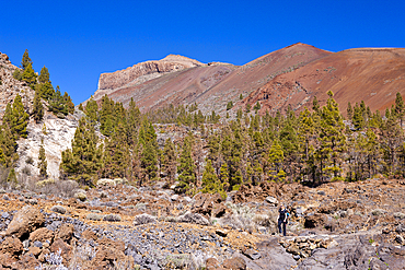 Hiking Tour to Paisaje Lunar near Vilaflor, Tenerife, Canary Islands, Spain