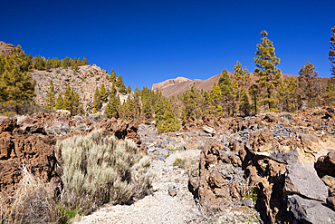 Hiking Tour to Paisaje Lunar near Vilaflor, Tenerife, Canary Islands, Spain