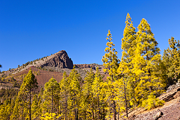 Hiking Tour to Paisaje Lunar near Vilaflor, Tenerife, Canary Islands, Spain