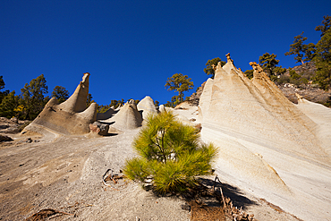 Lunar Landscape Paisaje Lunar in Teide National Park, Tenerife, Canary Islands, Spain