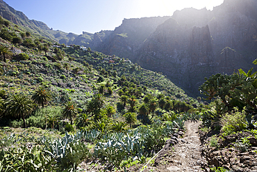 Entrance to Masca Gorge, Tenerife, Canary Islands, Spain