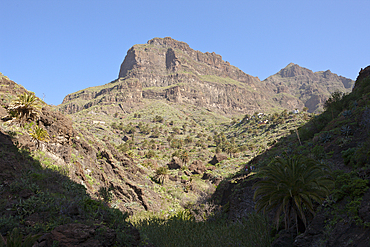 Entrance to Masca Gorge, Tenerife, Canary Islands, Spain