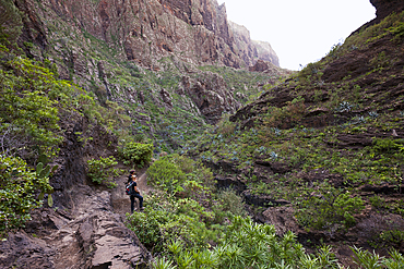 Masca Gorge Hiking Tour, Tenerife, Canary Islands, Spain