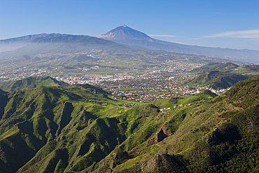 View from Anaga Mountains to Las Mercedes and Teide Volcano, Tenerife, Canary Islands, Spain