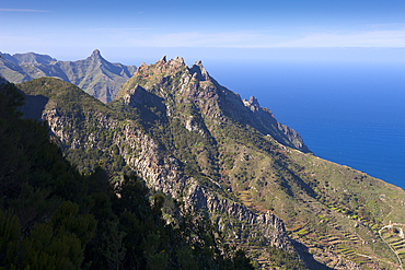 Cliff Coast at northern Anaga Mountains, Tenerife, Canary Islands, Spain