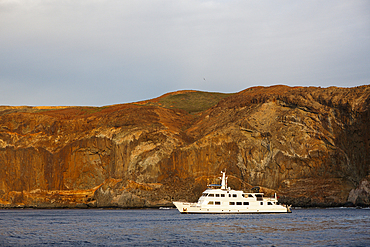 Liveaboard at Socorro, Revillagigedo Islands, Mexico