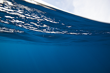 View to Water Surface, Socorro, Revillagigedo Islands, Mexico