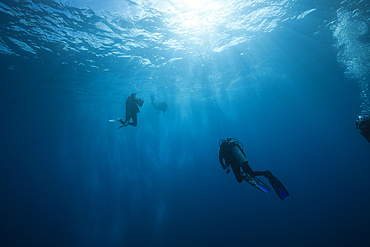 Scuba Diver in Open Water, Socorro, Revillagigedo Islands, Mexico