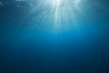 Sunbeam in Ocean, Socorro, Revillagigedo Islands, Mexico