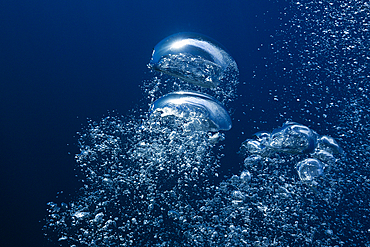 Air Bubbles in Ocean, Guadalupe Island, Mexico