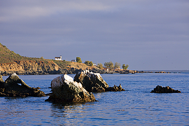 Coast of Cedros Island, Cedros Island, Mexico