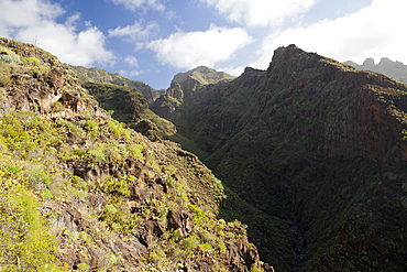 Barranco del Infierno, Adeje, Tenerife, Spain