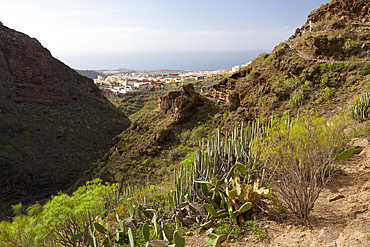 Barranco del Infierno, Adeje, Tenerife, Spain