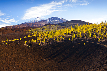 Caldera Landscape of Teide National Park, Tenerife, Spain