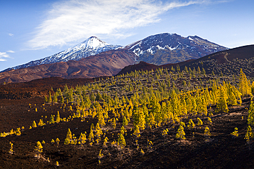 Caldera Landscape of Teide National Park, Tenerife, Spain