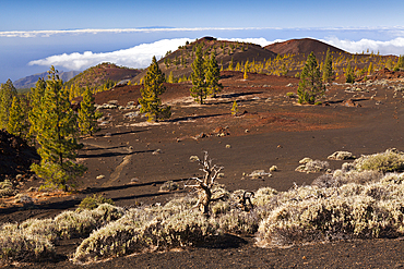 Caldera Landscape of Teide National Park, Tenerife, Spain