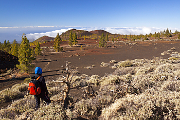 Caldera Landscape of Teide National Park, Tenerife, Spain