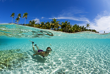 Snorkeling off palm-lined Island, Fadol, Kai Islands, Moluccas, Indonesia