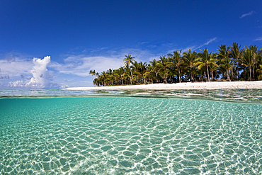 Lagoon off palm-lined Island, Fadol, Kai Islands, Moluccas, Indonesia