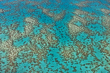 Aerial View of Great Barrier Reef, Queensland, Australia