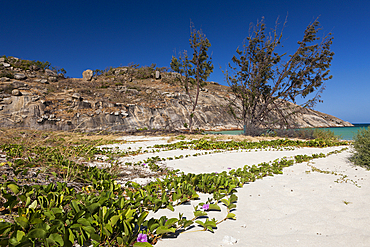 Lizard Island National Park, Great Barrier Reef, Australia