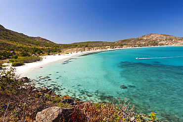 Watsons Bay Lizard Island, Great Barrier Reef, Australia