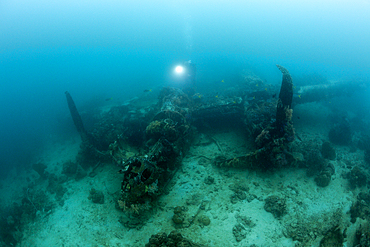 Lockheed P-388 Lightning Fighter Aircraft Wreck, Marovo Lagoon, Solomon Islands