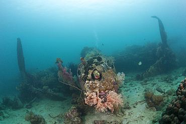 Lockheed P-388 Lightning Fighter Aircraft Wreck, Marovo Lagoon, Solomon Islands