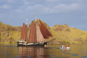 Scuba diving Liveaboard SS Adelaar near Komodo, Komodo National Park, Indonesia