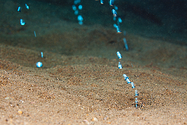 Volcanic Gas Bubbles, Komodo National Park, Indonesia