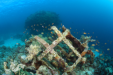 Remains of Cousteaus Underwater Habitat Precontinent II, Shaab Rumi, Red Sea, Sudan