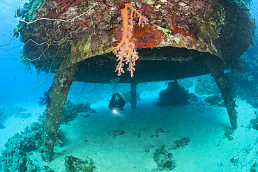 Diving Cousteaus Underwater Habitat Precontinent II, Shaab Rumi, Red Sea, Sudan