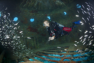 Diving Cousteaus Underwater Habitat Precontinent II, Shaab Rumi, Red Sea, Sudan