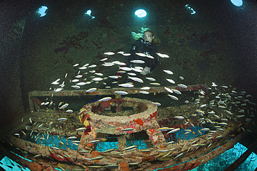 Diving Cousteaus Underwater Habitat Precontinent II, Shaab Rumi, Red Sea, Sudan