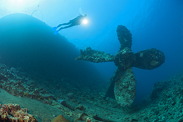 Scuba Diver at Umbria Wreck, Wingate Reef, Red Sea, Sudan