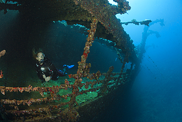 Scuba Diver at Umbria Wreck, Wingate Reef, Red Sea, Sudan