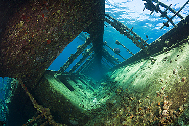 Reling of Umbria Wreck, Wingate Reef, Red Sea, Sudan