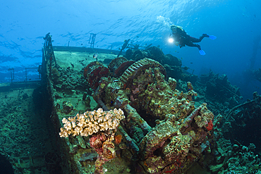 Scuba Diver at Umbria Wreck, Wingate Reef, Red Sea, Sudan