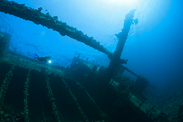 Scuba Diver at Umbria Wreck, Wingate Reef, Red Sea, Sudan